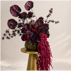 1 Merlot- You had me at Merlot-